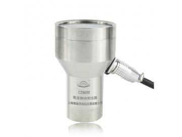 CZ9600 數顯振動變送器